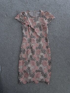 Calvin Klein Pink and Cream Floral Lace Sheath Dress